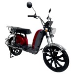 electric vehicles ladyboy head bumblebee front pocket lead-acid battery/lithium battery electric vehicles